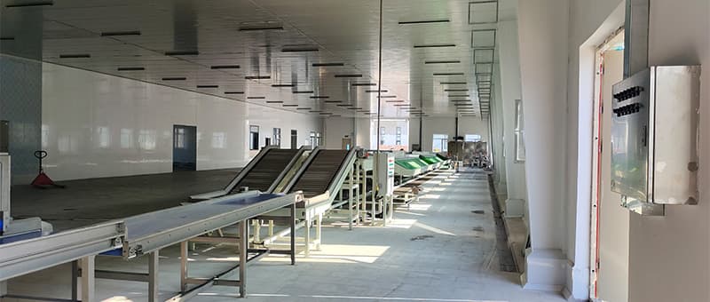 images/1694428550170sweet potato washing drying sorting machine.jpg